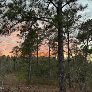 Photo #2 of Sand Ridge, Hubert, NC 8.0 acres