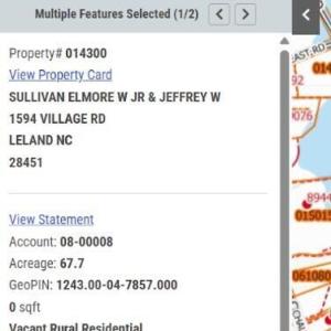 Photo #10 of Near 8944 Chauncey Town Rd, Lake Waccamaw, NC 67.7 acres