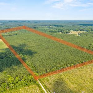 Photo #1 of Near 8944 Chauncey Town Rd, Lake Waccamaw, NC 67.7 acres