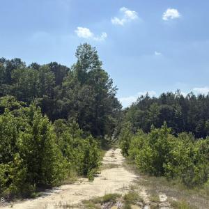 Photo #5 of Near 8944 Chauncey Town Rd, Lake Waccamaw, NC 67.7 acres