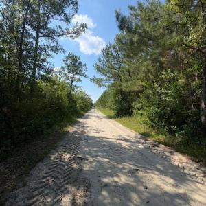 Photo #4 of Near 8944 Chauncey Town Rd, Lake Waccamaw, NC 67.7 acres