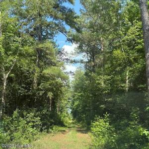 Photo #7 of Near 8944 Chauncey Town Rd, Lake Waccamaw, NC 67.7 acres