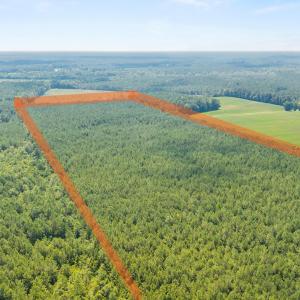Photo #3 of Near 8944 Chauncey Town Rd, Lake Waccamaw, NC 67.7 acres
