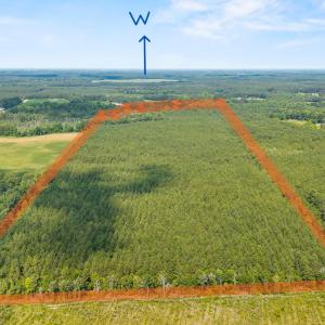 Photo #2 of Near 8944 Chauncey Town Rd, Lake Waccamaw, NC 67.7 acres