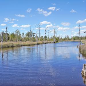 Photo #50 of 496 Hearthside, Bolivia, NC 0.6 acres
