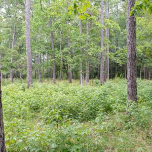 Photo #13 of 496 Hearthside, Bolivia, NC 0.6 acres