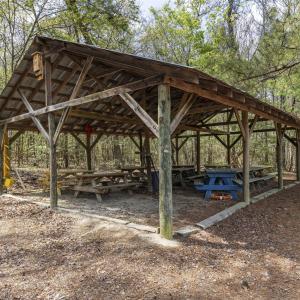Photo #35 of 215 Cameron Camp, Cameron, NC 900.0 acres