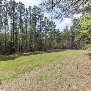 Photo #65 of 215 Cameron Camp, Cameron, NC 900.0 acres