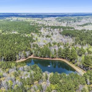 Photo #40 of 215 Cameron Camp, Cameron, NC 900.0 acres