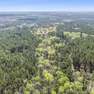 Photo #1 of 215 Cameron Camp, Cameron, NC 900.0 acres