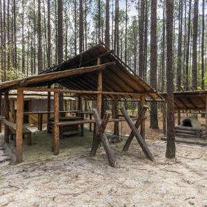 Photo #62 of 215 Cameron Camp, Cameron, NC 900.0 acres