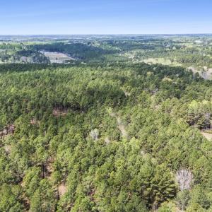 Photo #21 of 215 Cameron Camp, Cameron, NC 900.0 acres