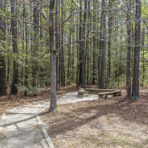 Photo #55 of 215 Cameron Camp, Cameron, NC 900.0 acres