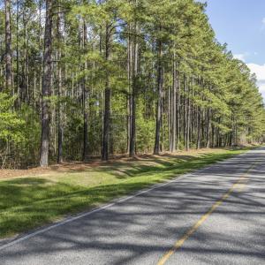 Photo #4 of 215 Cameron Camp, Cameron, NC 900.0 acres