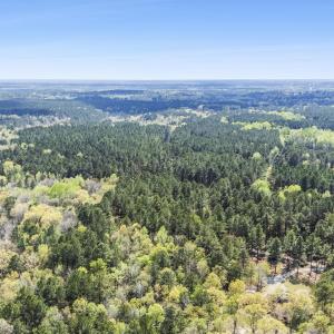 Photo #36 of 215 Cameron Camp, Cameron, NC 900.0 acres