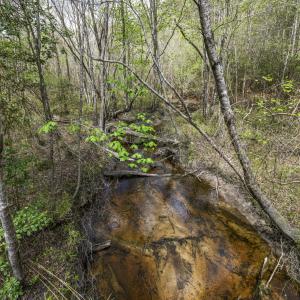 Photo #50 of 215 Cameron Camp, Cameron, NC 900.0 acres