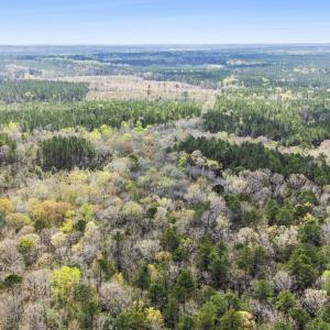 Photo #23 of 215 Cameron Camp, Cameron, NC 900.0 acres