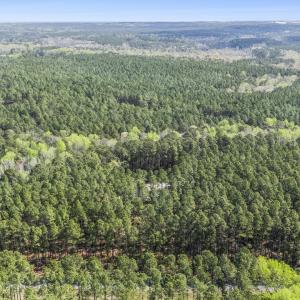 Photo #2 of 215 Cameron Camp, Cameron, NC 900.0 acres
