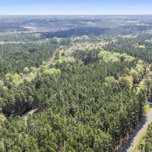 Photo #3 of 215 Cameron Camp, Cameron, NC 900.0 acres