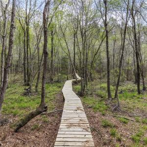 Photo #51 of 215 Cameron Camp, Cameron, NC 900.0 acres