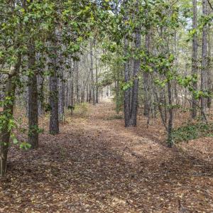 Photo #66 of 215 Cameron Camp, Cameron, NC 900.0 acres