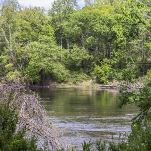 Photo #27 of 3100 Buckhorn, Sanford, NC 759.3 acres