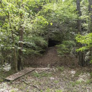 Photo #8 of 3100 Buckhorn, Sanford, NC 759.3 acres