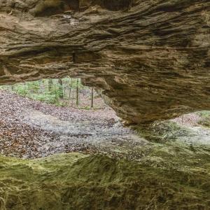 Photo #36 of 3100 Buckhorn, Sanford, NC 759.3 acres
