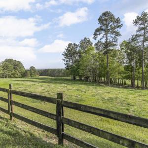 Photo #59 of 3100 Buckhorn, Sanford, NC 759.3 acres