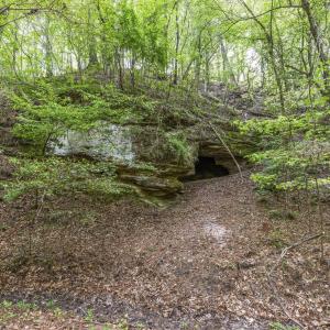 Photo #33 of 3100 Buckhorn, Sanford, NC 759.3 acres