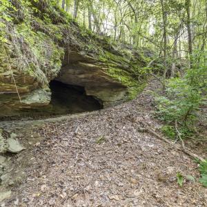 Photo #38 of 3100 Buckhorn, Sanford, NC 759.3 acres