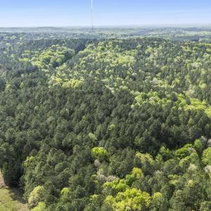 Photo #14 of 3100 Buckhorn, Sanford, NC 759.3 acres