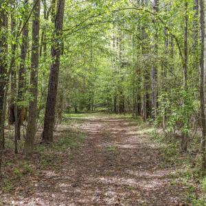 Photo #32 of 3100 Buckhorn, Sanford, NC 759.3 acres