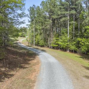 Photo #16 of 3100 Buckhorn, Sanford, NC 759.3 acres