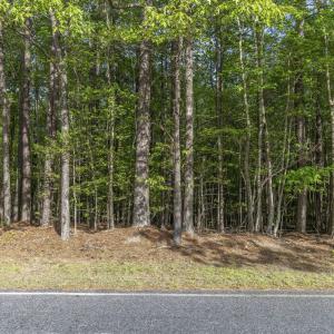 Photo #67 of 3100 Buckhorn, Sanford, NC 759.3 acres