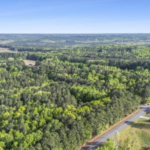 Photo #22 of 3100 Buckhorn, Sanford, NC 759.3 acres