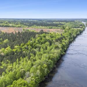 Photo #1 of 3100 Buckhorn, Sanford, NC 759.3 acres