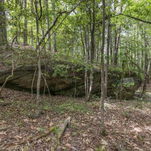 Photo #43 of 3100 Buckhorn, Sanford, NC 759.3 acres