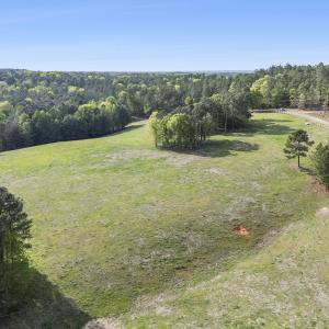 Photo #21 of 3100 Buckhorn, Sanford, NC 759.3 acres