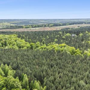 Photo #3 of 3100 Buckhorn, Sanford, NC 759.3 acres
