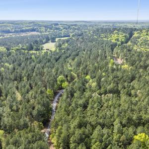 Photo #12 of 3100 Buckhorn, Sanford, NC 759.3 acres