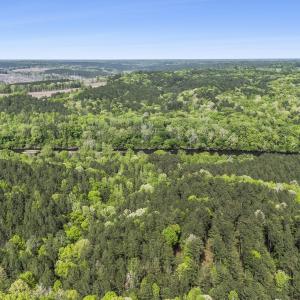 Photo #15 of 3100 Buckhorn, Sanford, NC 759.3 acres