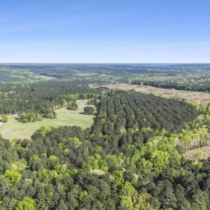 Photo #19 of 3100 Buckhorn, Sanford, NC 759.3 acres