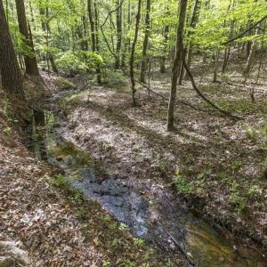 Photo #42 of 3100 Buckhorn, Sanford, NC 759.3 acres