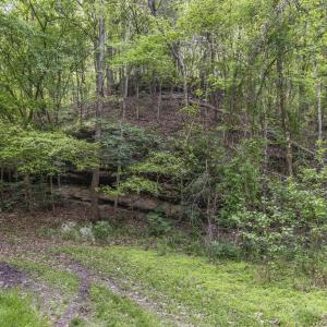 Photo #28 of 3100 Buckhorn, Sanford, NC 759.3 acres