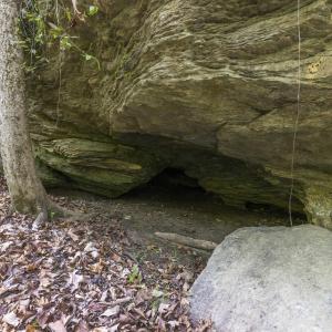 Photo #30 of 3100 Buckhorn, Sanford, NC 759.3 acres