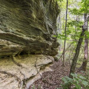 Photo #31 of 3100 Buckhorn, Sanford, NC 759.3 acres