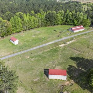 Photo #20 of 3100 Buckhorn, Sanford, NC 759.3 acres