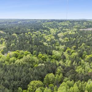 Photo #2 of 3100 Buckhorn, Sanford, NC 759.3 acres