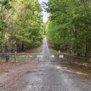 Photo #61 of 3100 Buckhorn, Sanford, NC 759.3 acres